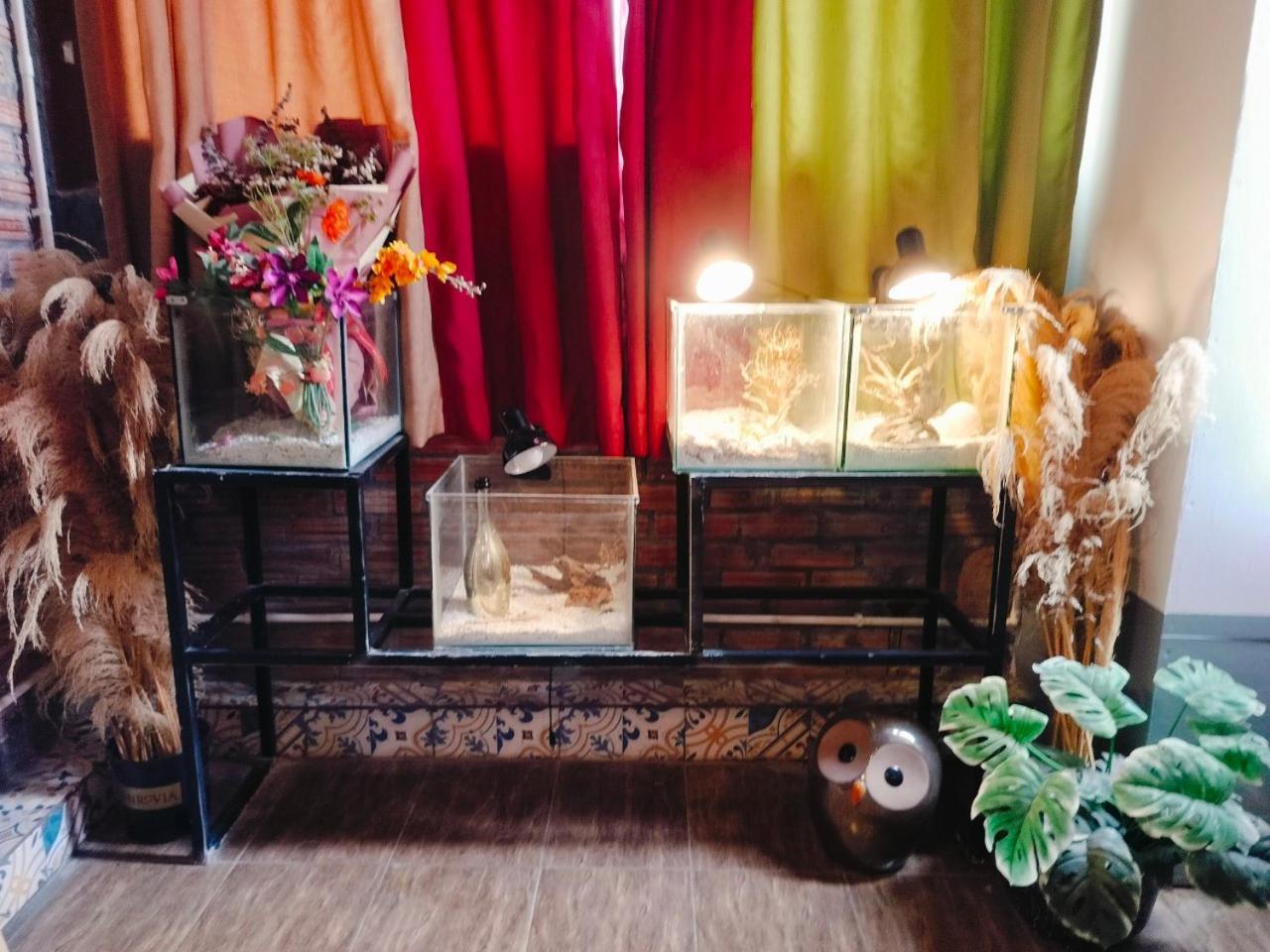 Cozy Fun Homestay 16 Hanoi Exterior foto